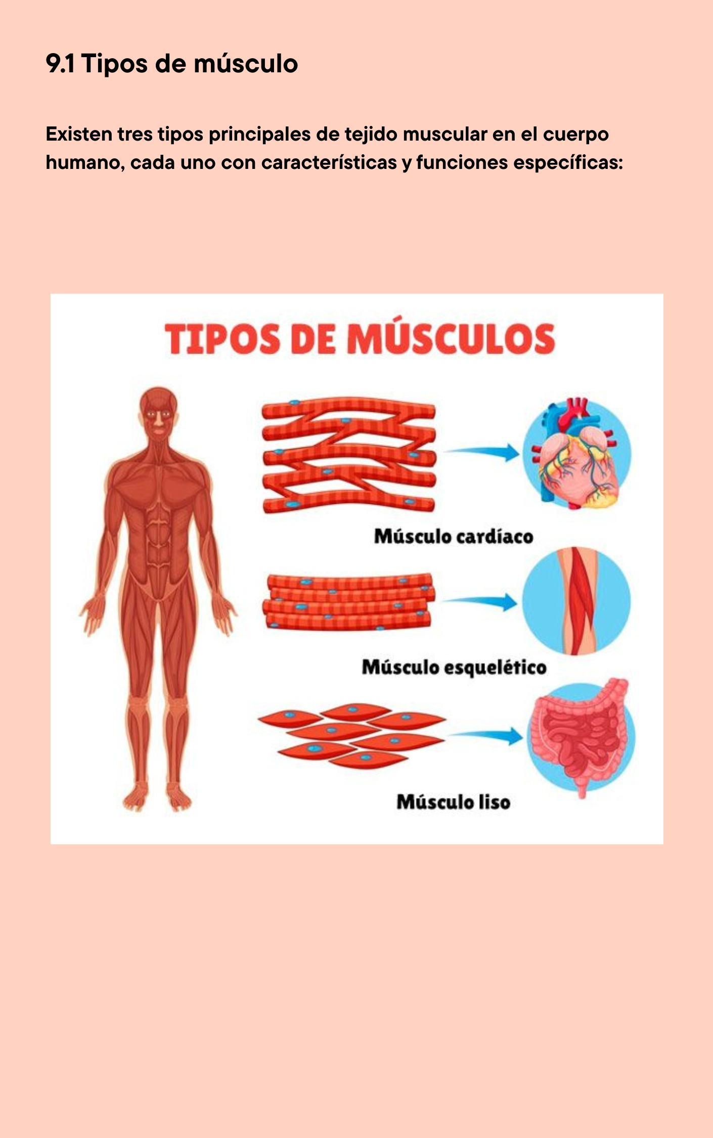 El-mejor-Resumen-de-Anatomía-y-Fisiología-_2_