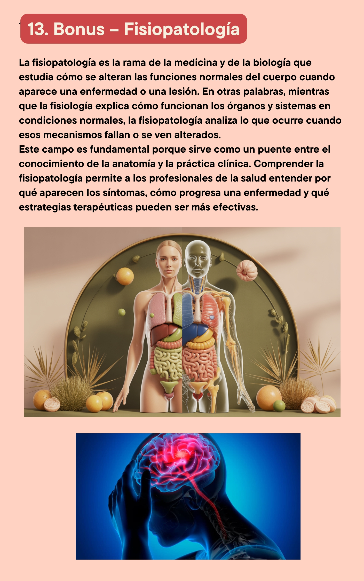El-mejor-Resumen-de-Anatomía-y-Fisiología-_3_