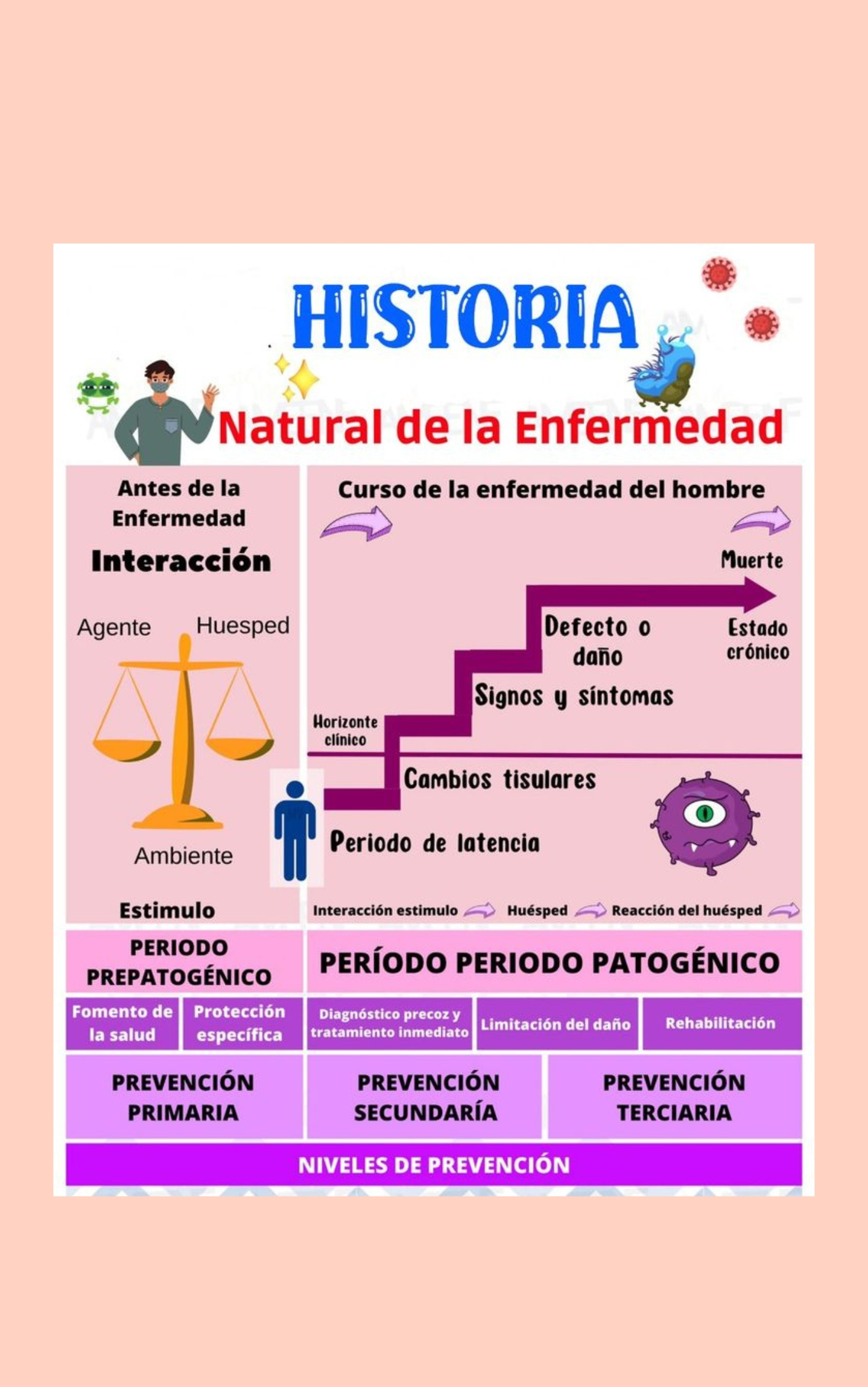 El-mejor-Resumen-de-Anatomía-y-Fisiología-_4_